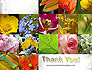Flowers Collage slide 20