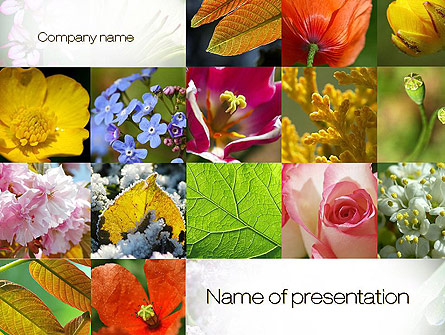 Flowers Collage Presentation Template, Master Slide