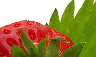 Strawberries Collage Presentation Template