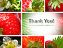 Strawberries Collage slide 20