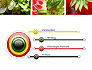 Strawberries Collage slide 3