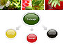 Strawberries Collage slide 4