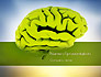 Cerebral Cortex slide 1