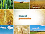 Wheat Cultivation slide 1