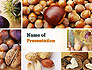 Nuts Collage slide 1