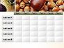 Nuts Collage slide 15