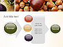 Nuts Collage slide 17