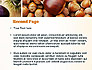 Nuts Collage slide 2