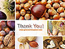 Nuts Collage slide 20