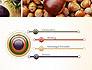 Nuts Collage slide 3
