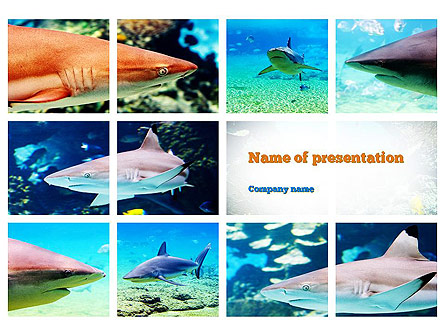 Sharks Presentation Template, Master Slide