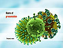 HIV Virus slide 1