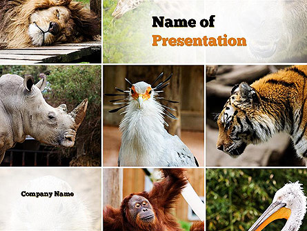 Wild Animals Presentation Template, Master Slide