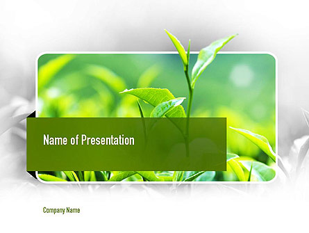 Green Presentation Presentation Template for PowerPoint and Keynote ...