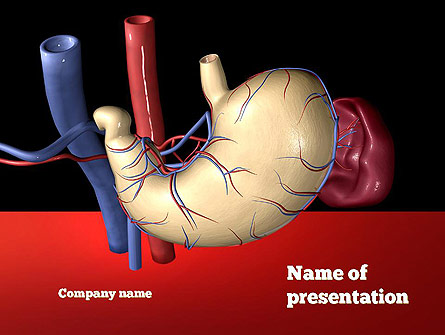 Digestive System Presentation Template, Master Slide