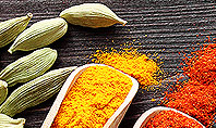 Set of Spices Presentation Template