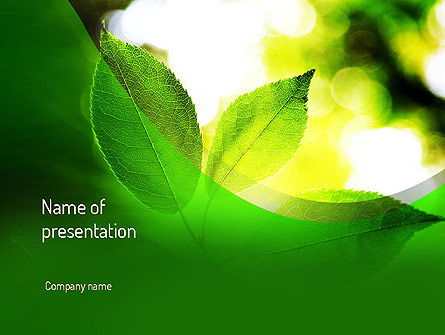 Ecology Theme Presentation Template, Master Slide