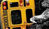 School Bus Accident Presentation Template