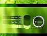 Green Organization slide 11