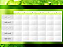 Green Organization slide 15