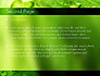 Green Organization slide 2