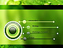 Green Organization slide 3