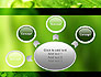 Green Organization slide 7