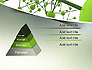 Green Network slide 12