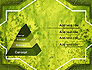 Green Leaf Structure slide 12