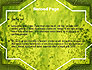 Green Leaf Structure slide 2