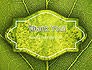 Green Leaf Structure slide 20