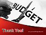 Budget Cuts slide 20