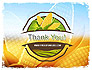 Maize Theme slide 20