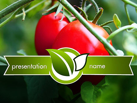 Ripe Tomatoes Presentation Template, Master Slide
