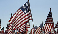 Large Group of American Flags Presentation Template