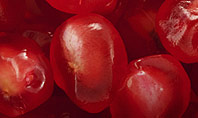 Pomegranate Seeds Presentation Template