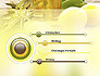 Olive Essential Oils slide 3