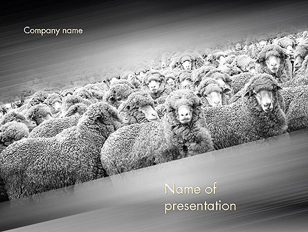Flock of Sheep Presentation Template, Master Slide