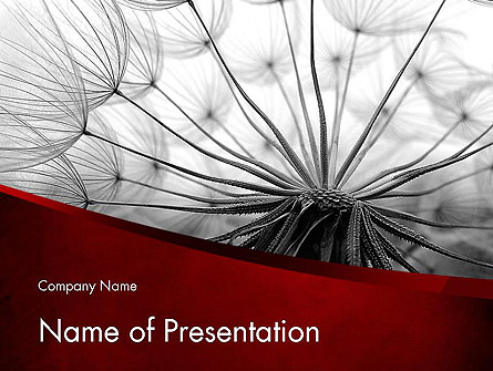 WEB Concept Presentation Template, Master Slide