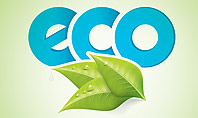 Ecology Concept Presentation Template