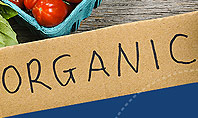 Organic Foods Presentation Template