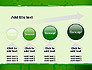 Green Paint Background slide 13