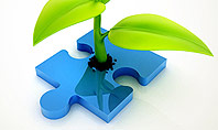 Sprout on Blue Jigsaw Puzzle Presentation Template