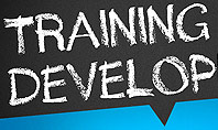 Training and Development Presentation Template