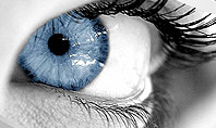 Closeup of Very Blue Eye Presentation Template