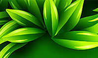 Green Leaves Frame Presentation Template