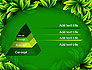 Green Leaves Frame slide 12
