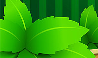 Green Leaves on Frame Presentation Template