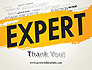 Business Expert slide 20