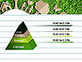 Ecosystem slide 4